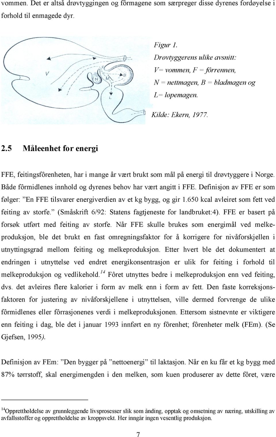 5 Måleenhet for energi FFE, feitingsfôrenheten, har i mange år vært brukt som mål på energi til drøvtyggere i Norge. Både fôrmidlenes innhold og dyrenes behov har vært angitt i FFE.