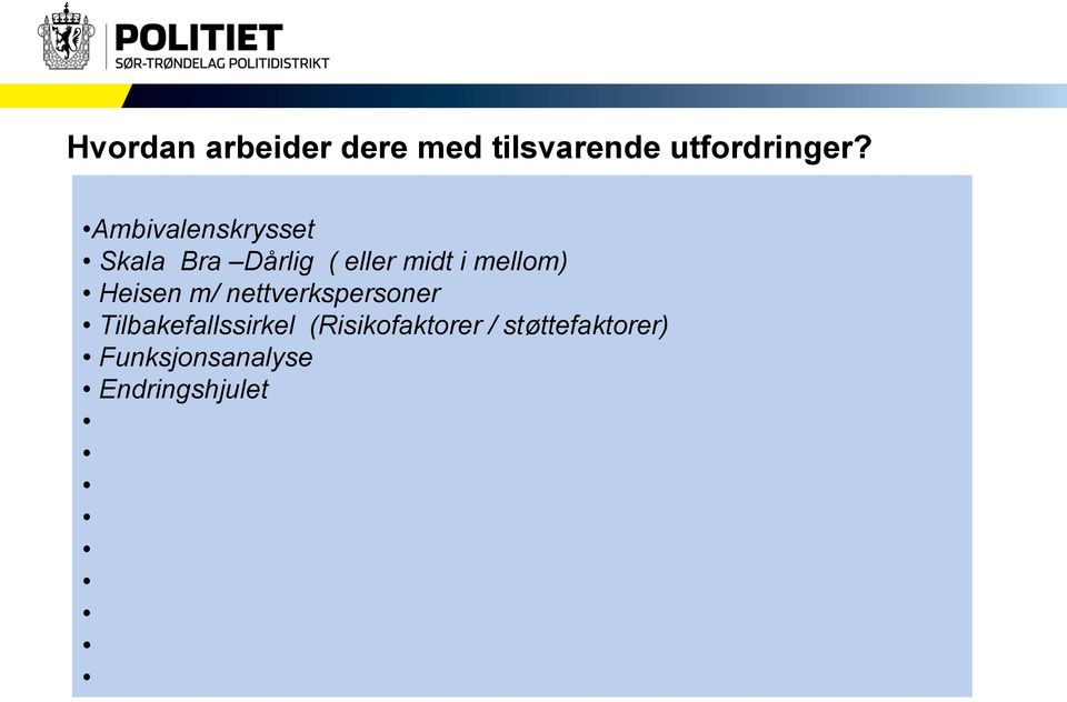 mellom) Heisen m/ nettverkspersoner Tilbakefallssirkel