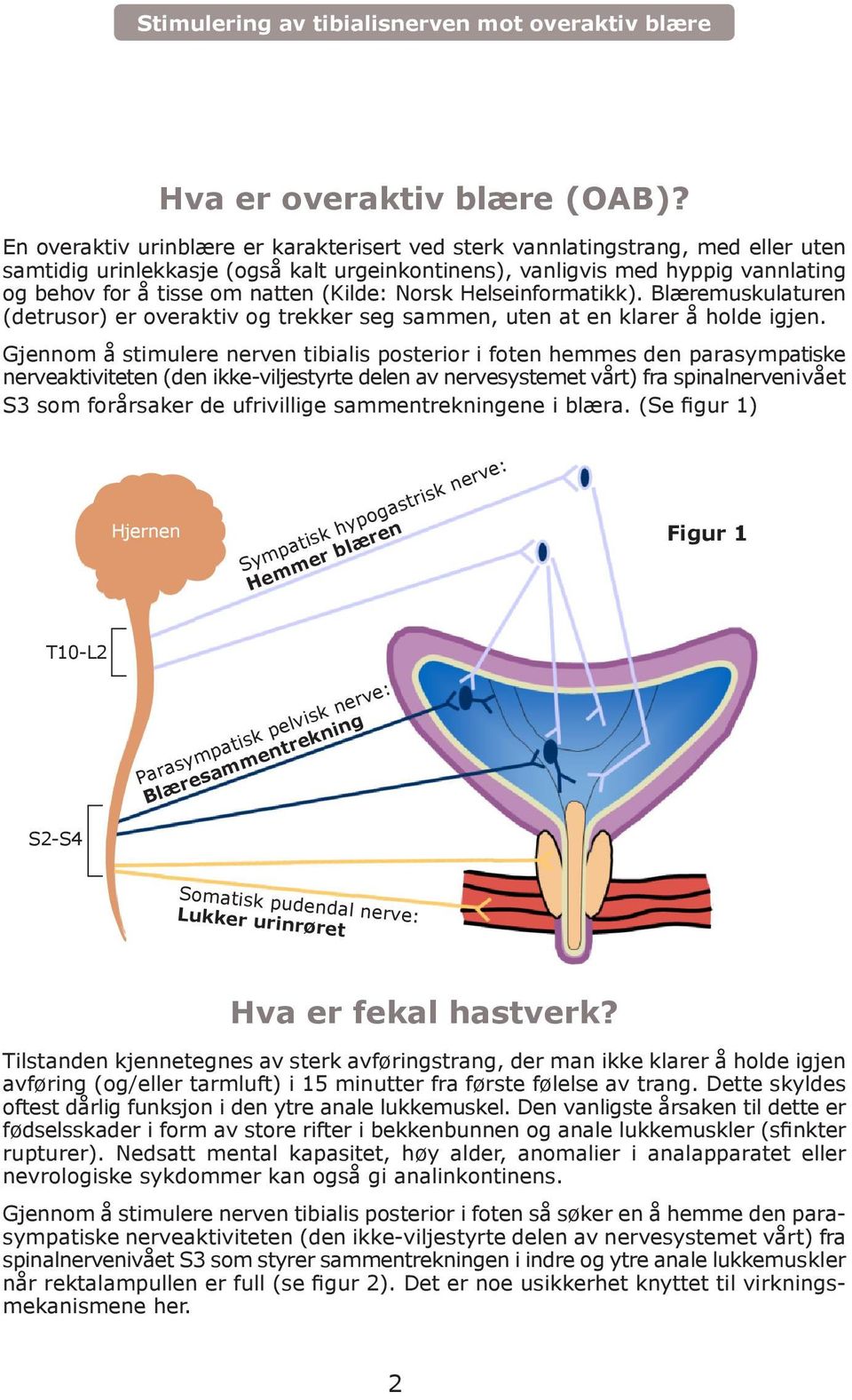 (Kilde: Norsk Helseinformatikk). Blæremuskulaturen (detrusor) er overaktiv og trekker seg sammen, uten at en klarer å holde igjen.