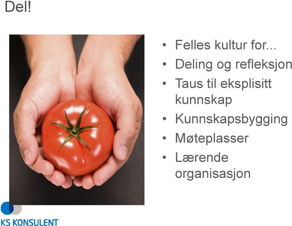 til eksplisitt kunnskap