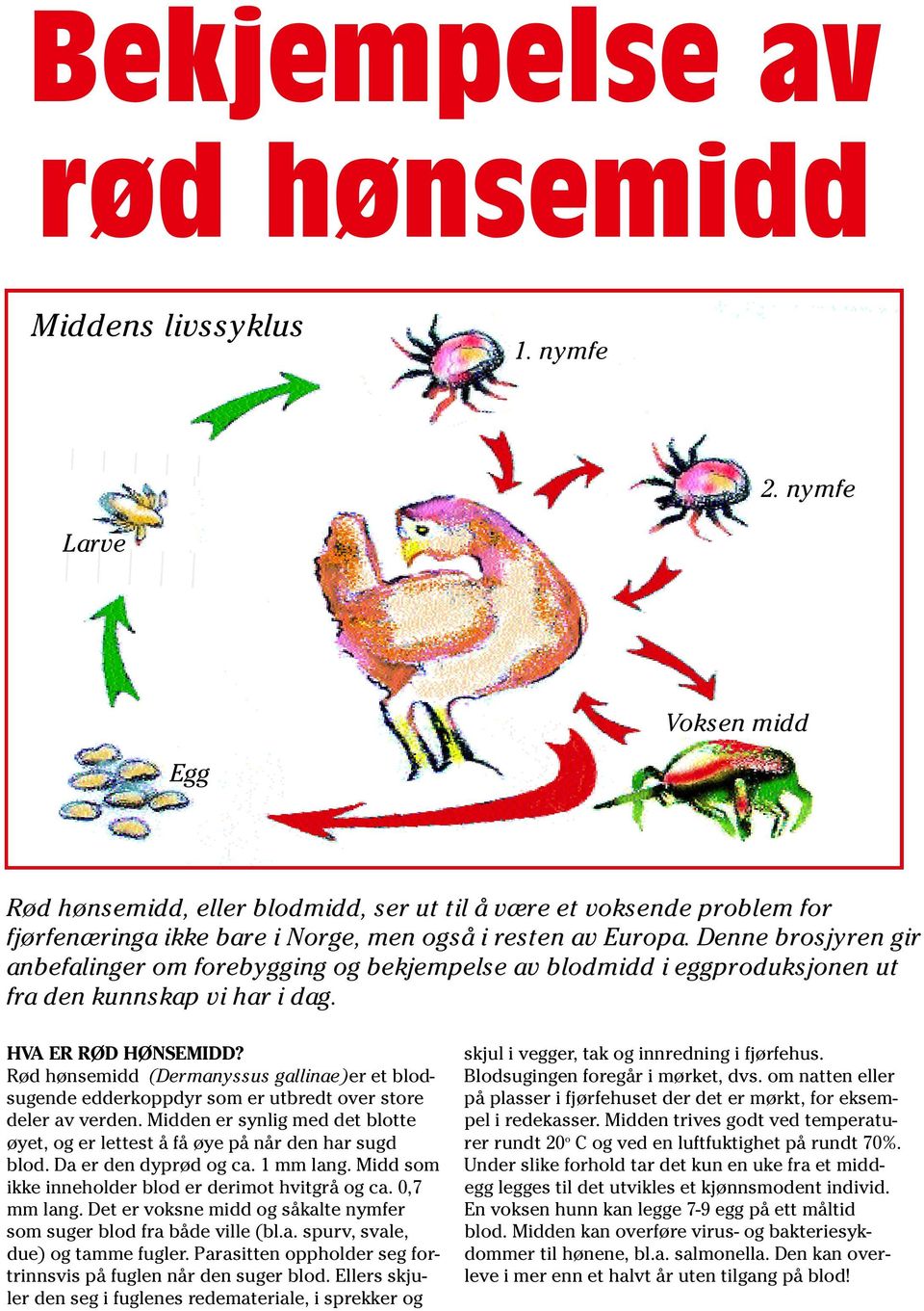 Denne brosjyren gir anbefalinger om forebygging og bekjempelse av blodmidd i eggproduksjonen ut fra den kunnskap vi har i dag. HVA ER RØD HØNSEMIDD?