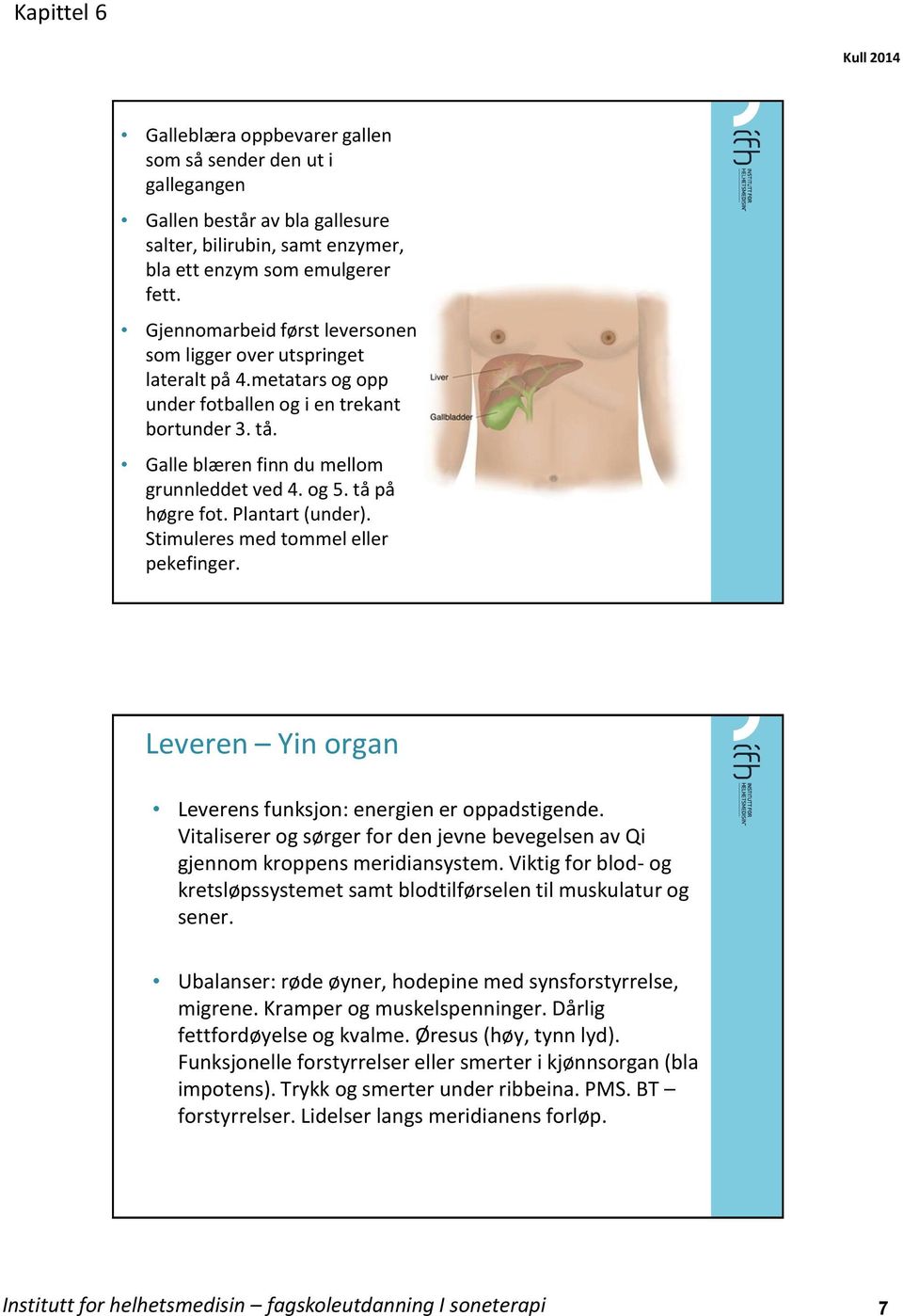 tå på høgre fot. Plantart (under). Stimuleres med tommel eller pekefinger. Leveren Yin organ Leverens funksjon: energien er oppadstigende.