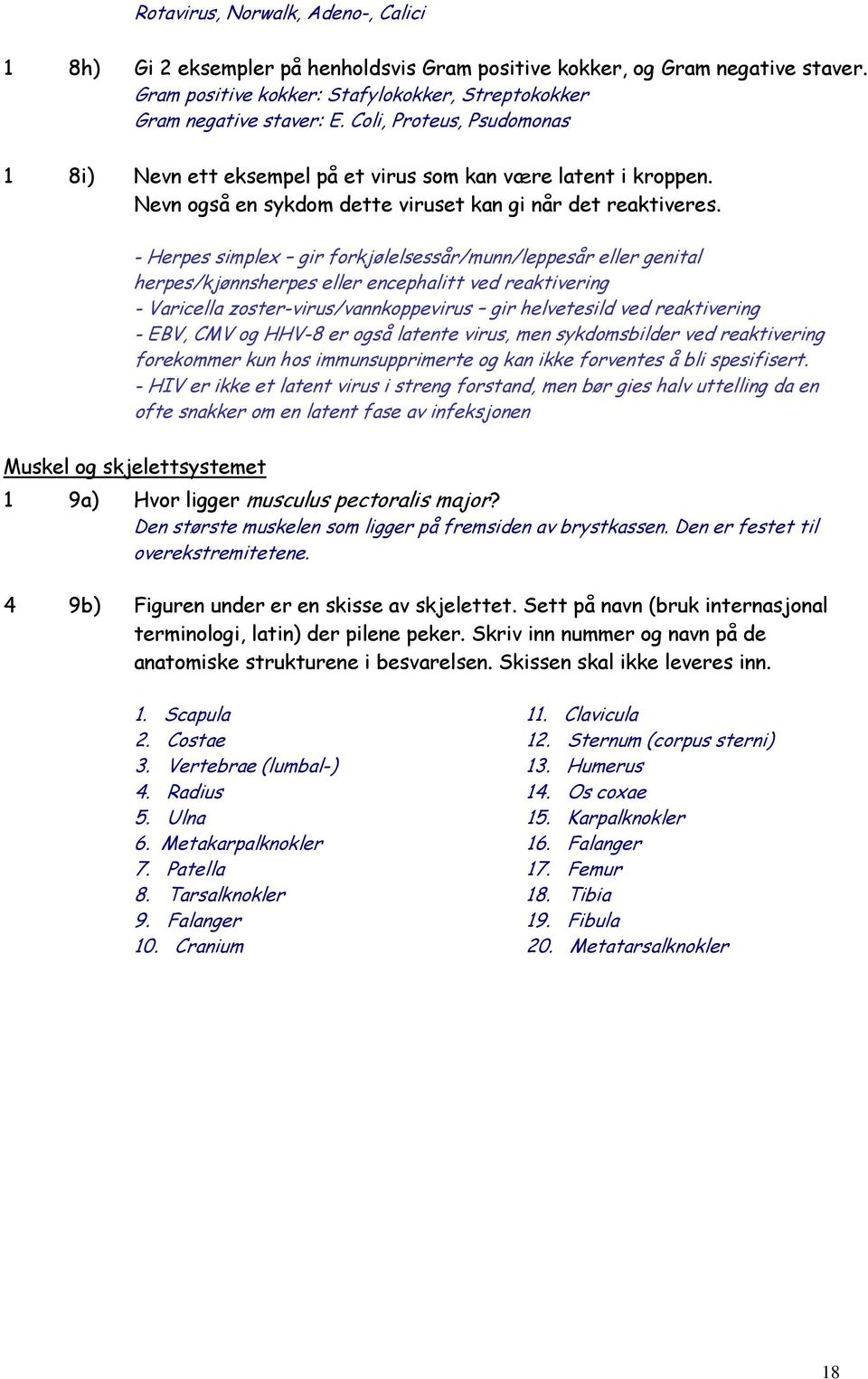 - Herpes simplex gir forkjølelsessår/munn/leppesår eller genital herpes/kjønnsherpes eller encephalitt ved reaktivering - Varicella zoster-virus/vannkoppevirus gir helvetesild ved reaktivering - EBV,