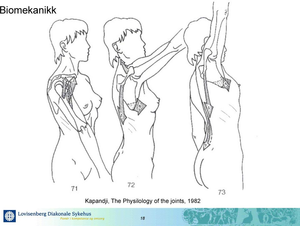 Physilology of