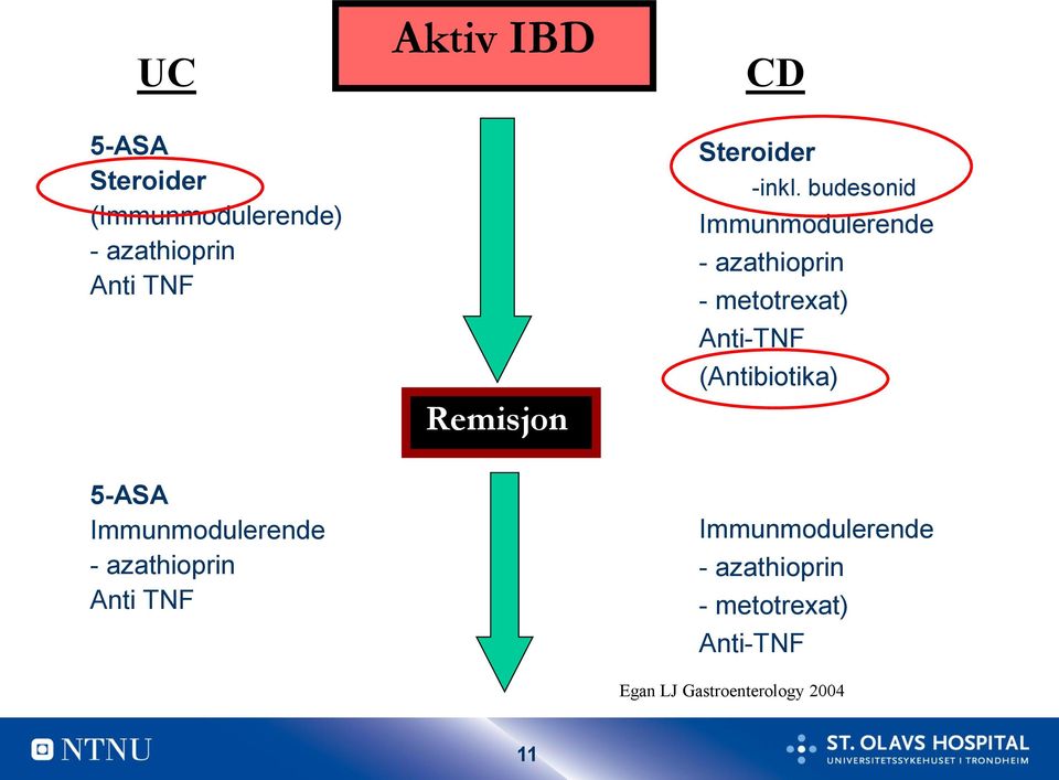 budesonid Immunmodulerende - azathioprin - metotrexat) Anti-TNF (Antibiotika)