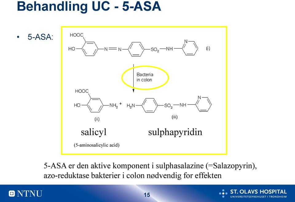 den aktive komponent i sulphasalazine