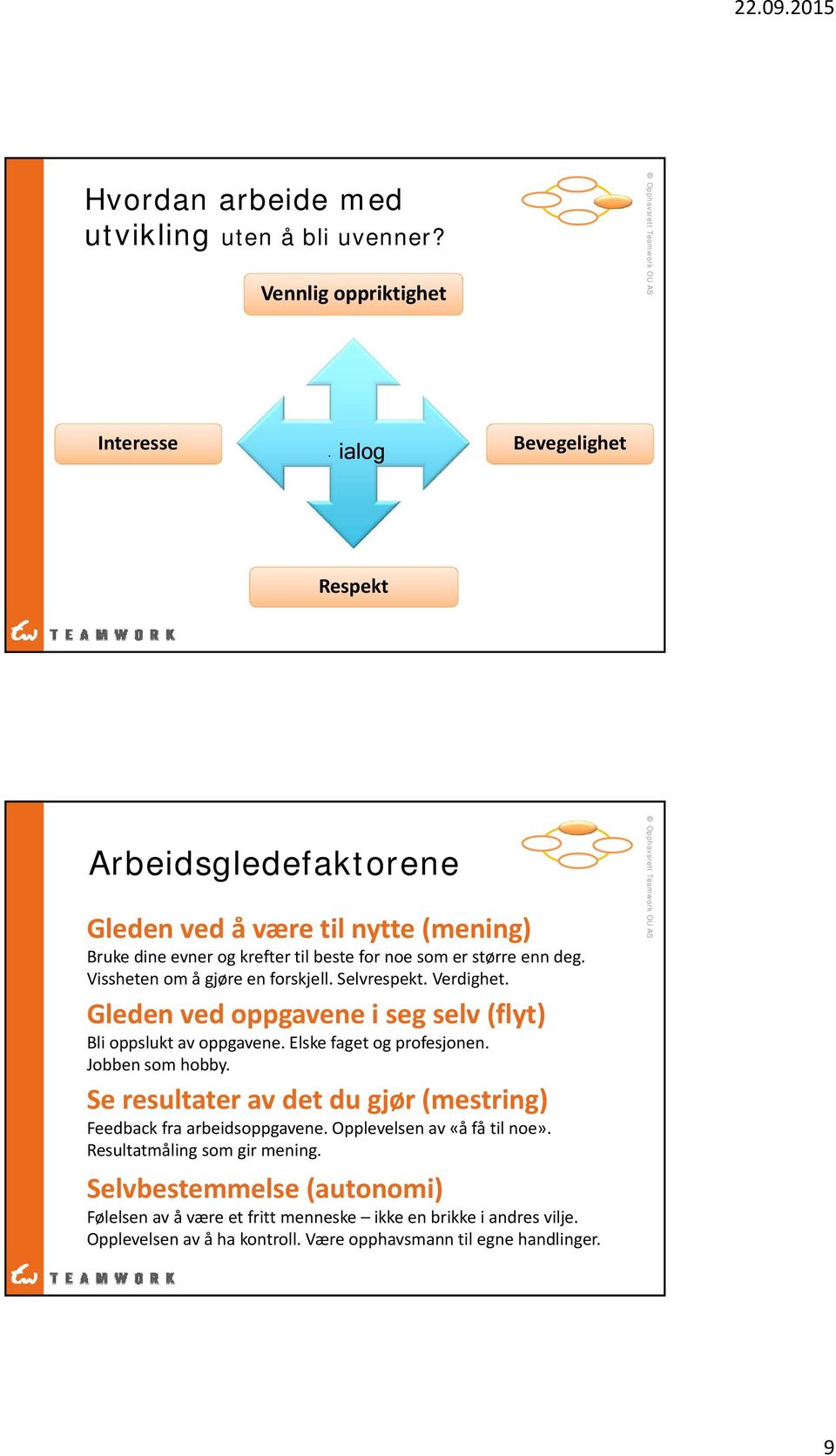 større enn deg. Vissheten om å gjøre en forskjell. Selvrespekt. Verdighet. Gleden ved oppgavene i seg selv (flyt) Bli oppslukt av oppgavene. Elske faget og profesjonen.