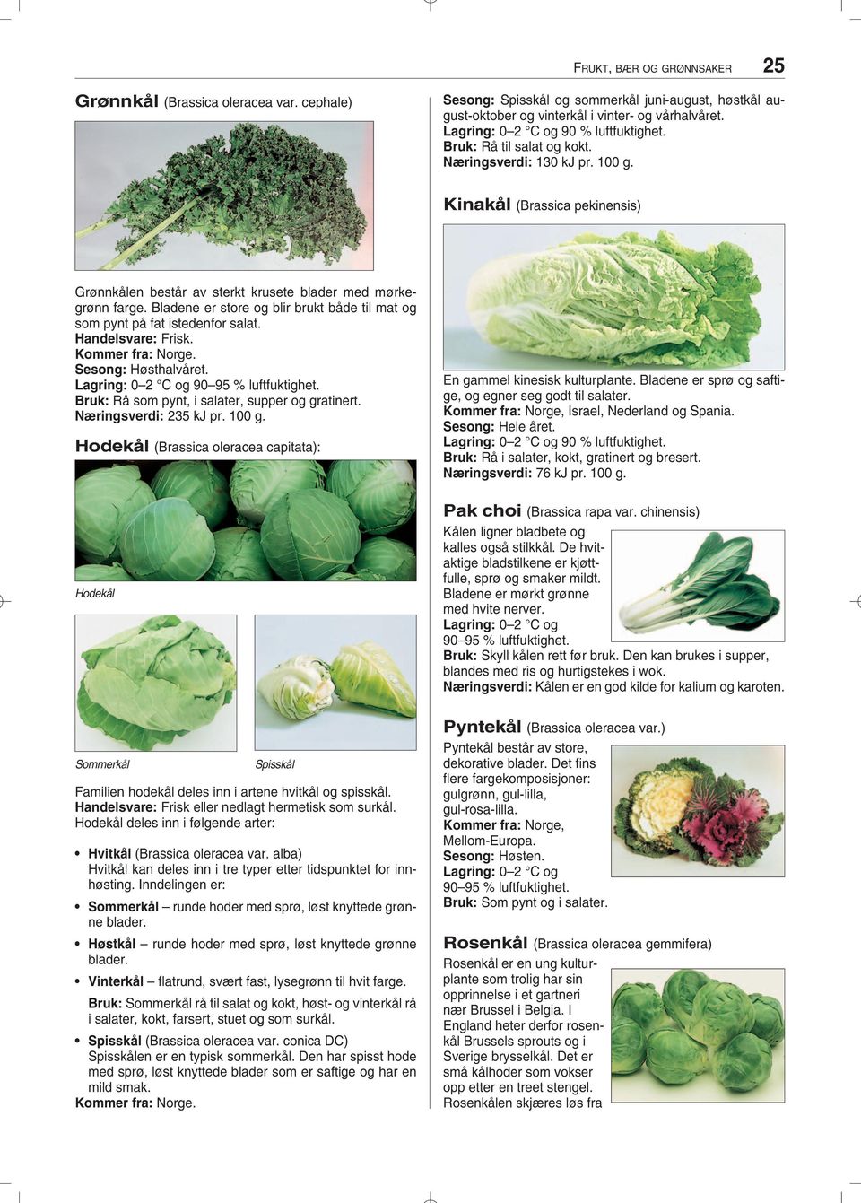 Bladene er store og blir brukt både til mat og som pynt på fat istedenfor salat. Handelsvare: Frisk. Kommer fra: Norge. Sesong: Høsthalvåret. Lagring: 0 2 C og 90 95 % luftfuktighet.