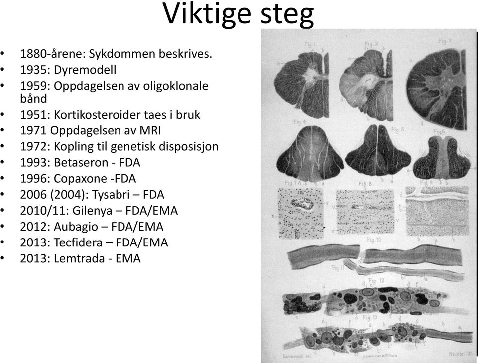 bruk 1971 Oppdagelsen av MRI 1972: Kopling til genetisk disposisjon 1993: Betaseron - FDA