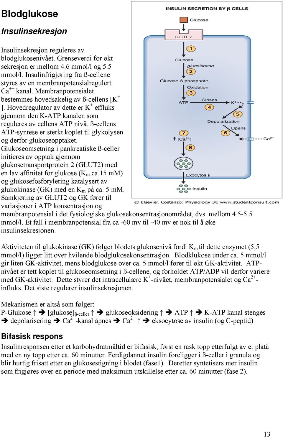 Hovedregulator av dette er K + effluks gjennom den K-ATP kanalen som reguleres av cellens ATP nivå. ß-cellens ATP-syntese er sterkt koplet til glykolysen og derfor glukoseopptaket.