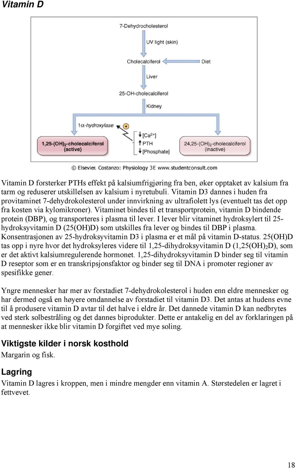 Vitaminet bindes til et transportprotein, vitamin D bindende protein (DBP), og transporteres i plasma til lever.