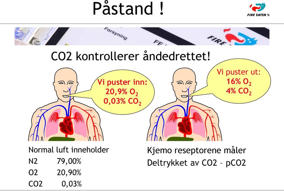 16% O 2 4% CO 2 Normal luft inneholder N2 79,00%