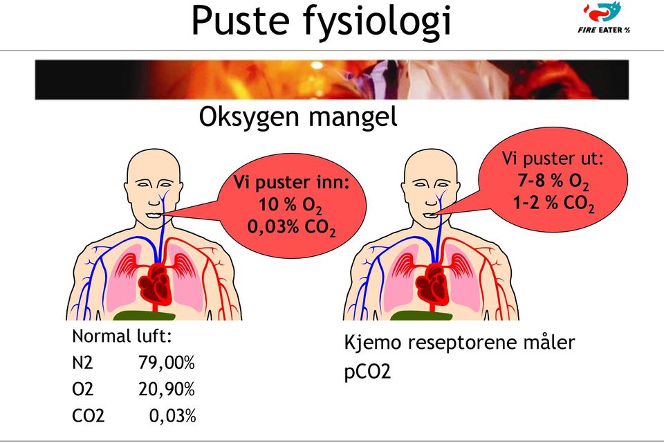 % O 2 1-2 % CO 2 Normal luft: N2 79,00% O2