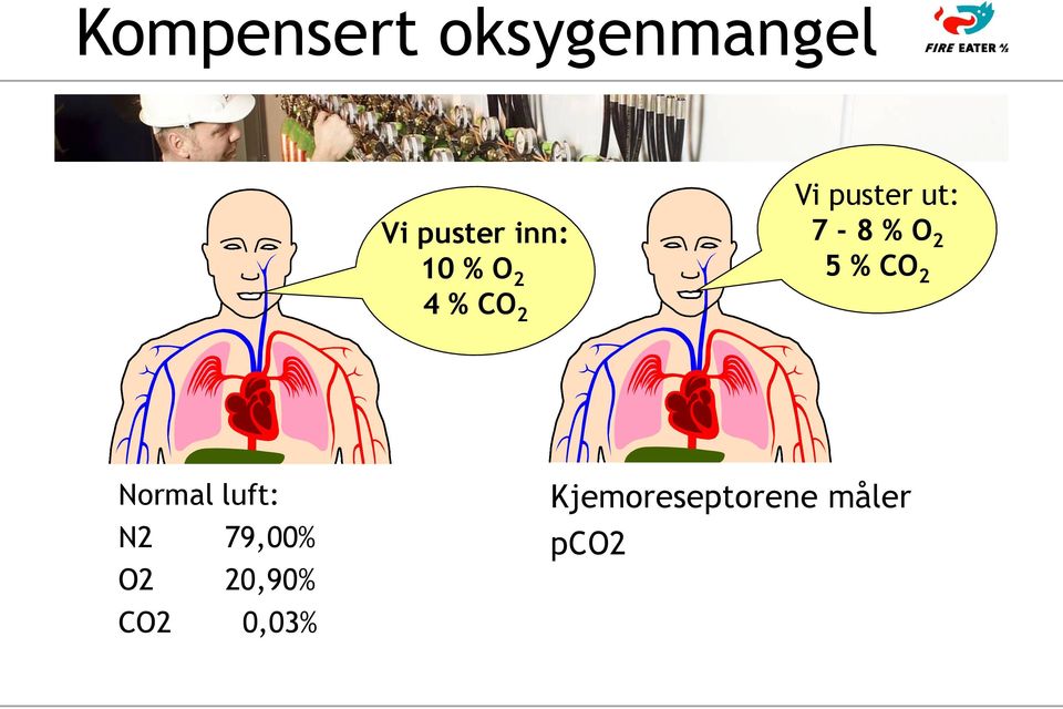 2 5 % CO 2 Normal luft: N2 79,00% O2