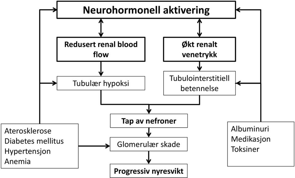 Aterosklerose Diabetes mellitus Hypertensjon Anemia Tap av