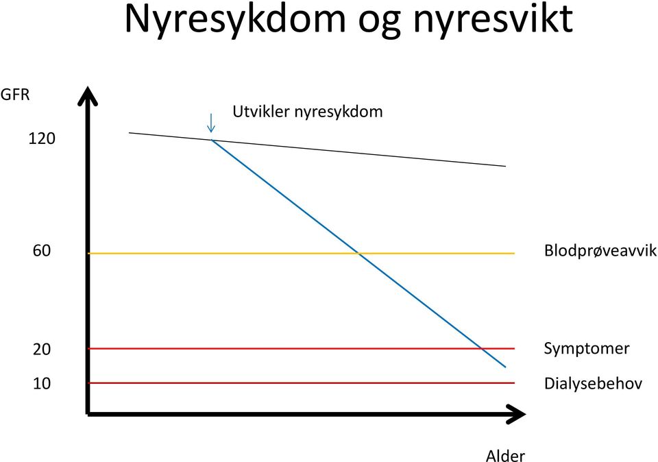 nyresykdom 60