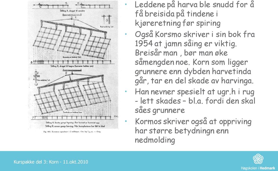 Korn som ligger grunnere enn dybden harvetinda går, tar en del skade av harvinga.