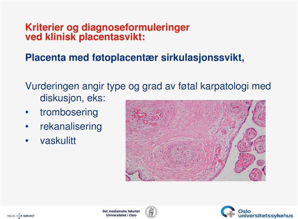 sirkulasjonssvikt, Vurderingen angir type og grad av