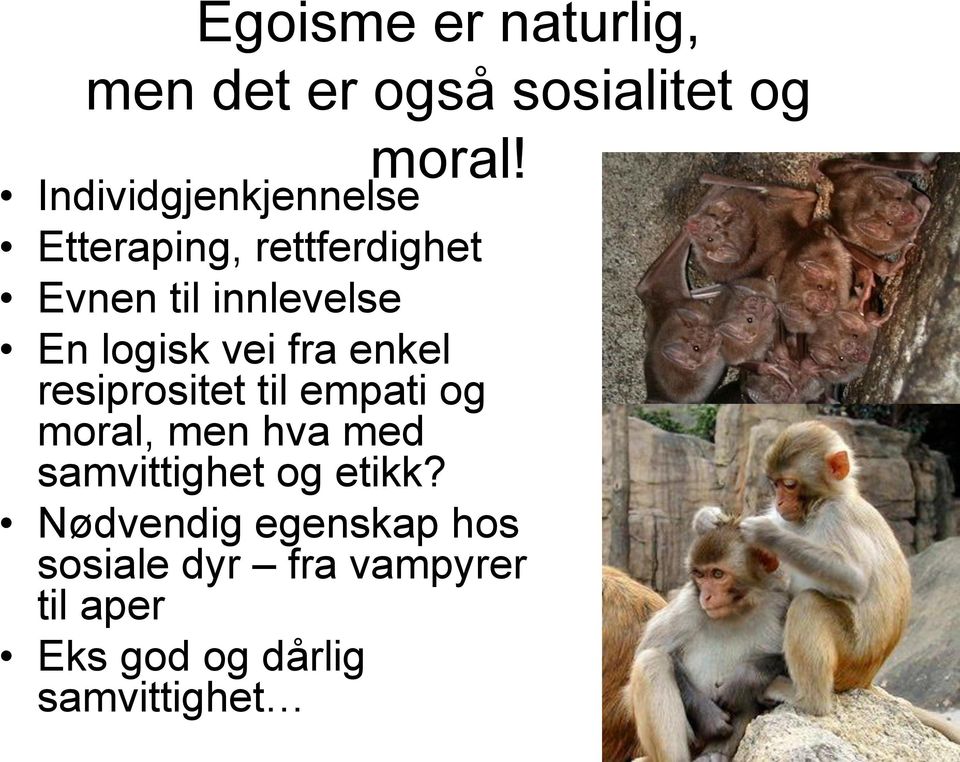 logisk vei fra enkel resiprositet til empati og moral, men hva med