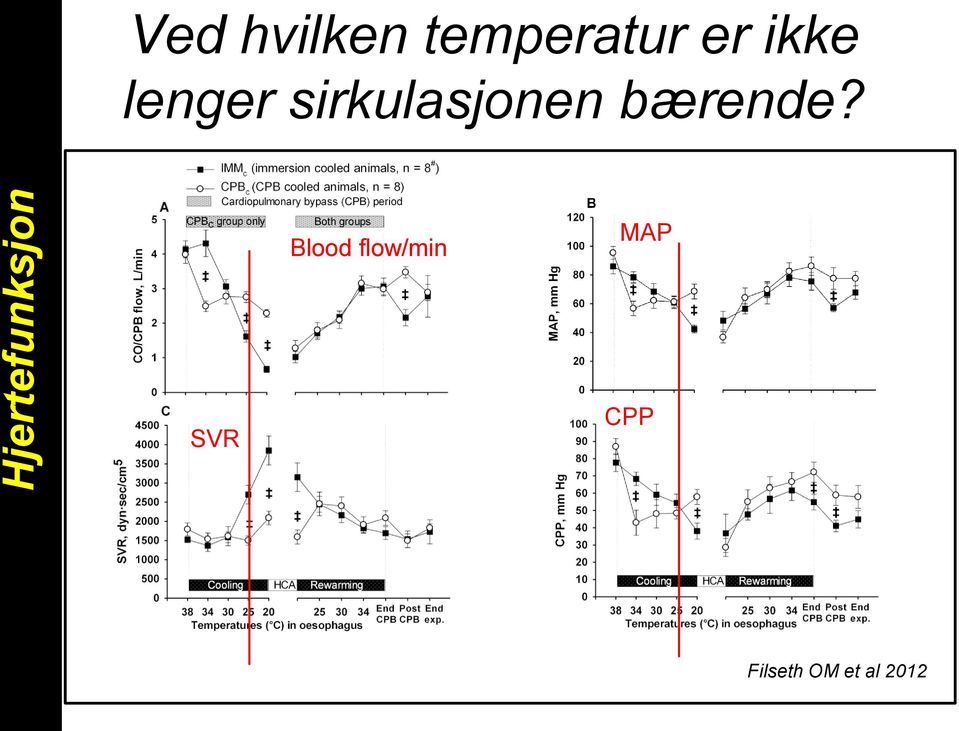 Blood flow/min MAP SVR CPP Filseth OM et