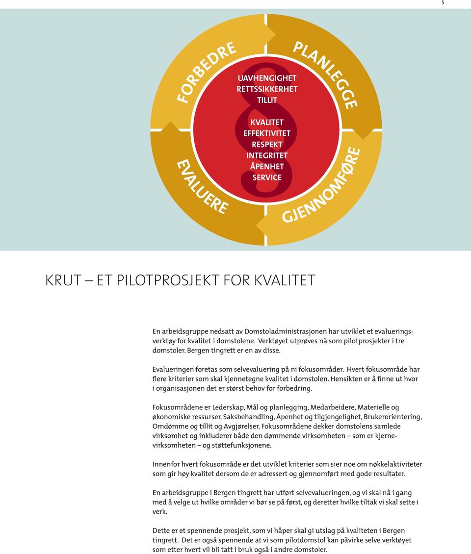 Evalueringen foretas som selvevaluering på ni fokusområder. Hvert fokusområde har flere kriterier som skal kjennetegne kvalitet i domstolen.