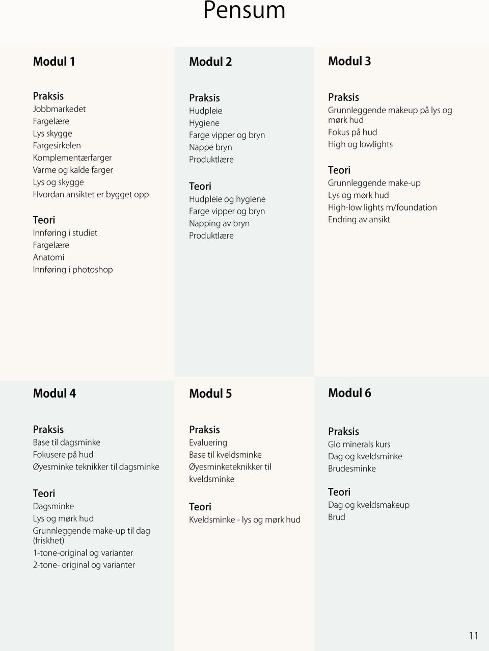 Fokus på hud High og lowlights Grunnleggende make-up Lys og mørk hud High-low lights m/foundation Endring av ansikt Modul 4 Modul 5 Modul 6 Base til dagsminke Fokusere på hud Øyesminke teknikker til