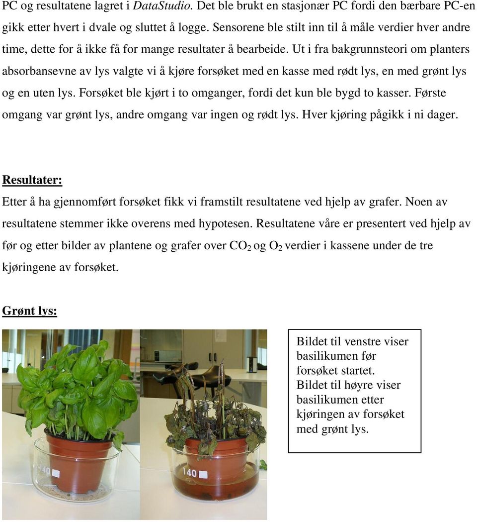 Ut i fra bakgrunnsteori om planters absorbansevne av lys valgte vi å kjøre forsøket med en kasse med rødt lys, en med grønt lys og en uten lys.