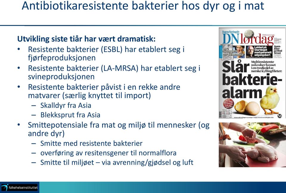 andre matvarer (særlig knyttet til import) Skalldyr fra Asia Blekksprut fra Asia Smittepotensiale fra mat og miljø til mennesker (og