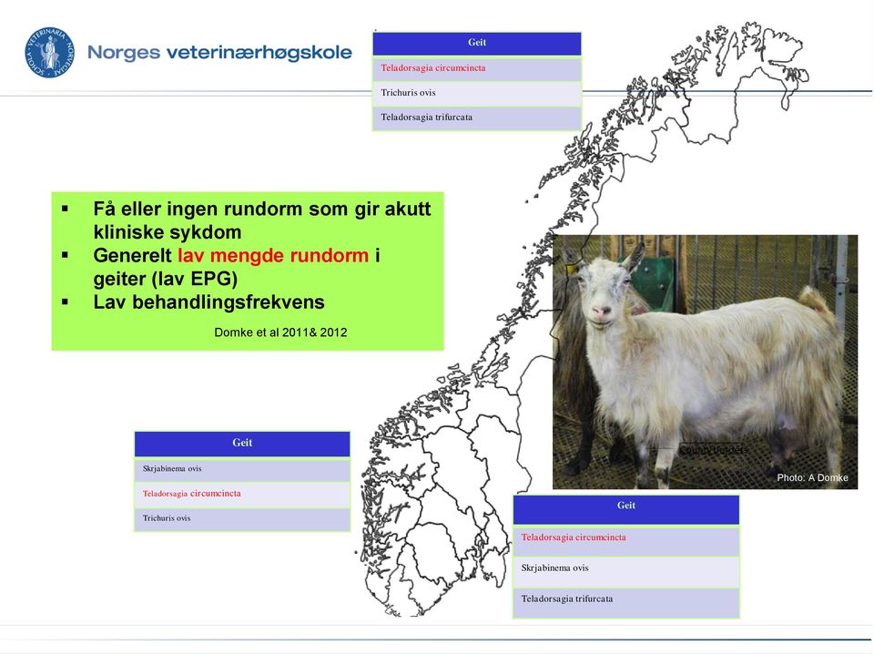 Lav behandlingsfrekvens Domke et al 2011& 2012 Geit Skrjabinema ovis Teladorsagia