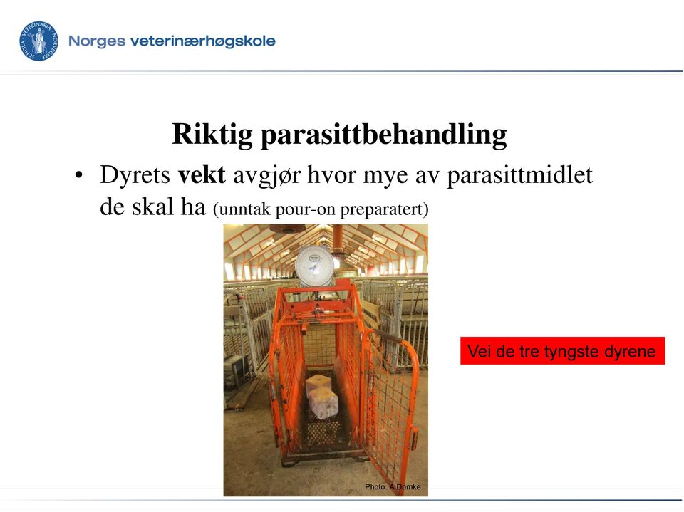 parasittmidlet de skal ha (unntak