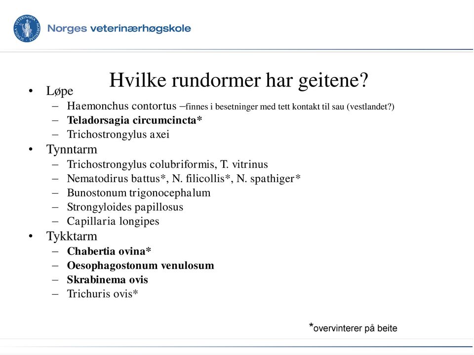 ) Teladorsagia circumcincta* Trichostrongylus axei Tynntarm Trichostrongylus colubriformis, T.