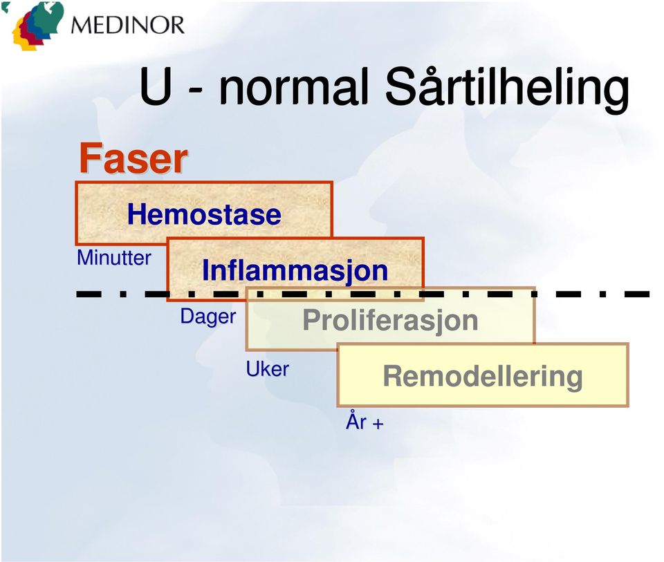 Sårtilheling Hemostase