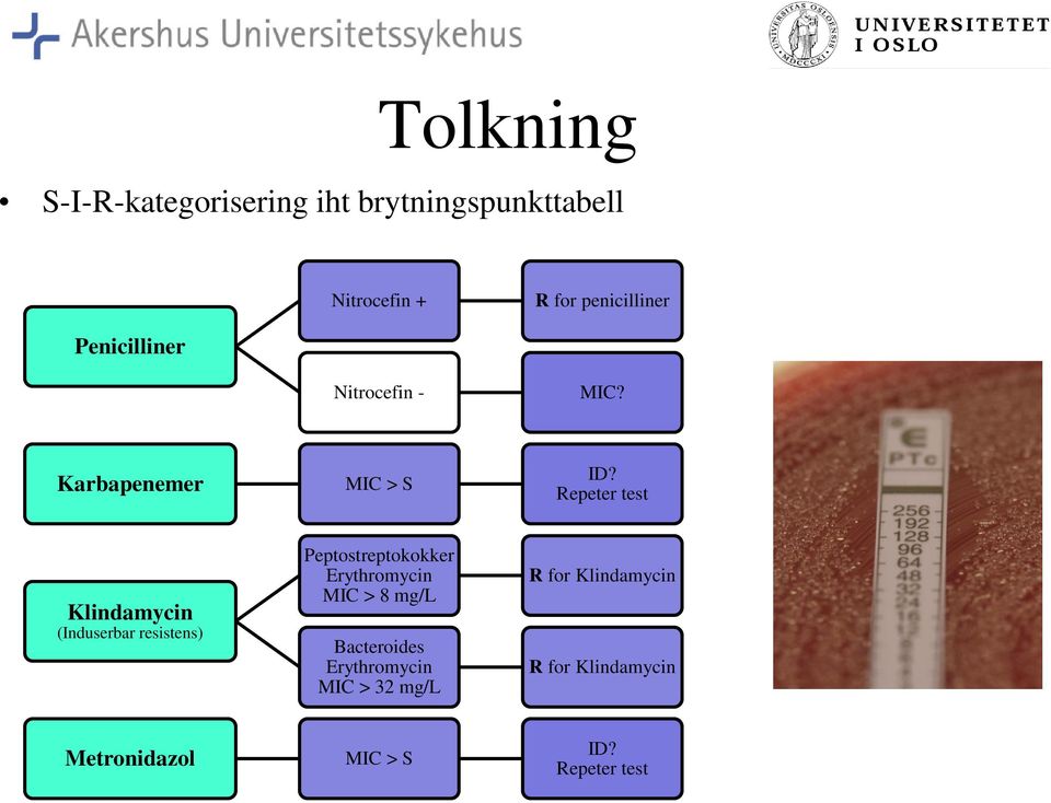 Repeter test Klindamycin (Induserbar resistens) Peptostreptokokker Erythromycin MIC >