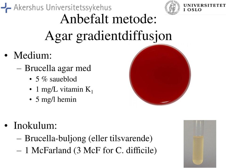 1 5 mg/l hemin Inokulum: Brucella-buljong (eller