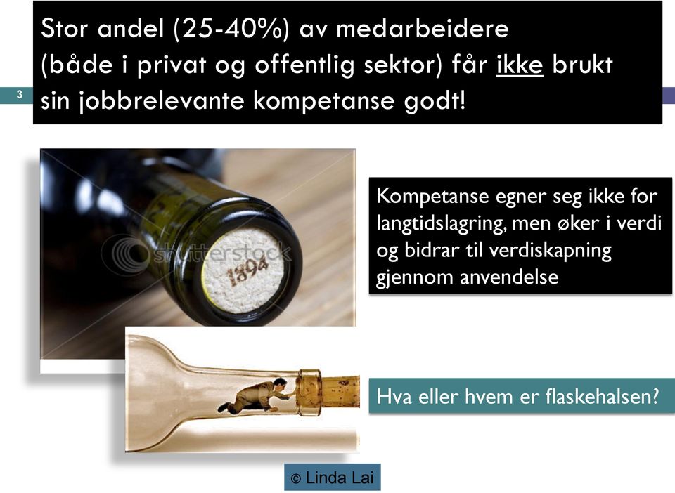 Kompetanse egner seg ikke for langtidslagring, men øker i verdi og