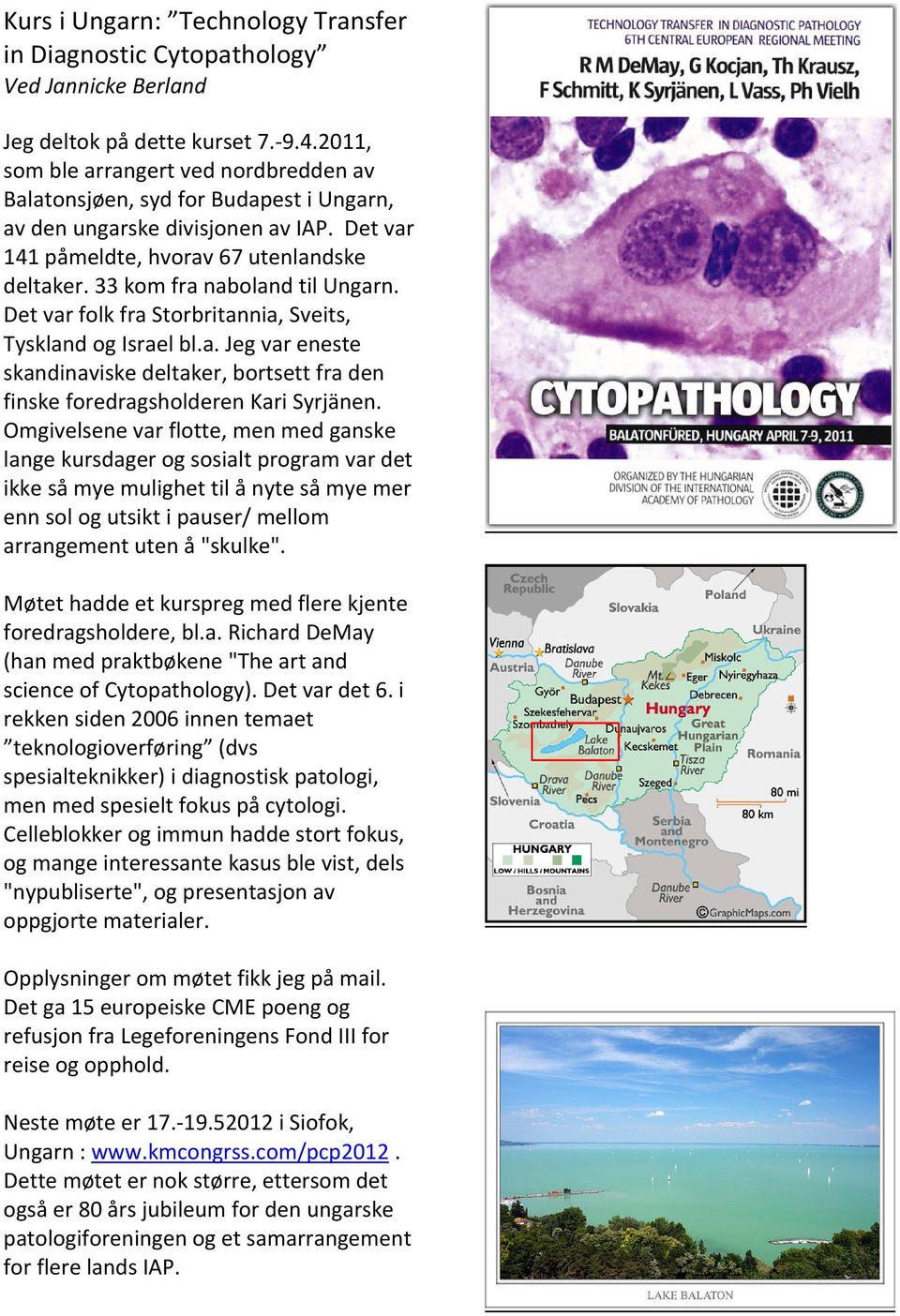 33 kom fra naboland til Ungarn. Det var folk fra Storbritannia, Sveits, Tyskland og Israel bl.a. Jeg var eneste skandinaviske deltaker, bortsett fra den finske foredragsholderen Kari Syrjänen.