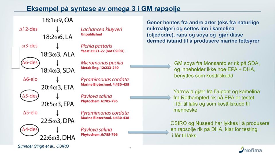 ikke noe EPA + DHA, benyttes som kosttilskudd Yarrowia gjær fra Dupont og kamelina fra Rothampted rik på EPA er testet i fôr til laks og som