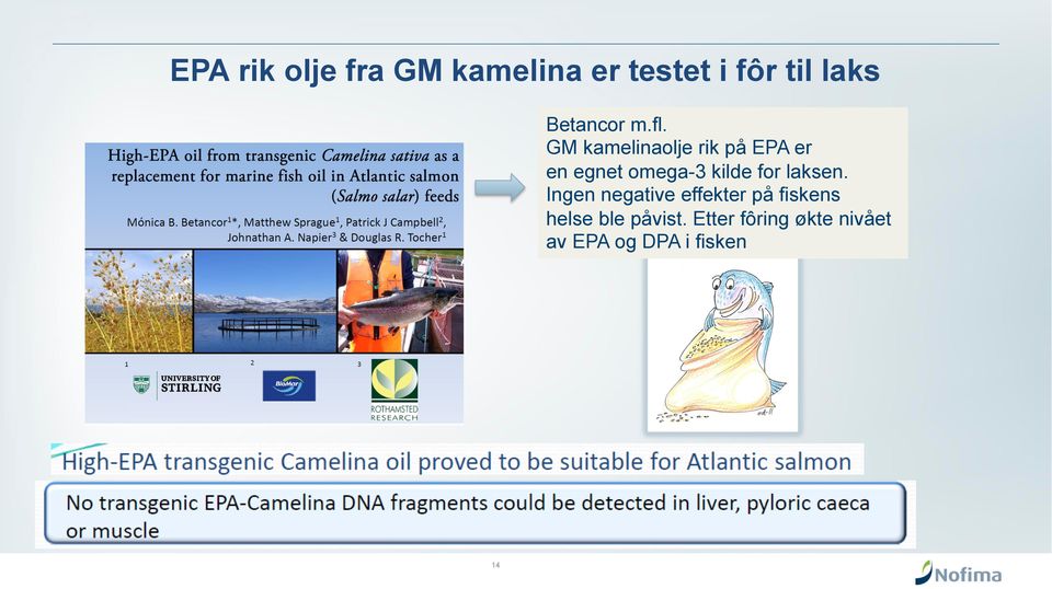 GM kamelinaolje rik på EPA er en egnet omega-3 kilde for