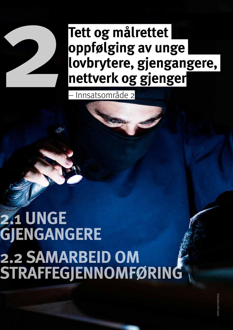 Innsatsområde 2.1 UNGE JENGANGERE.