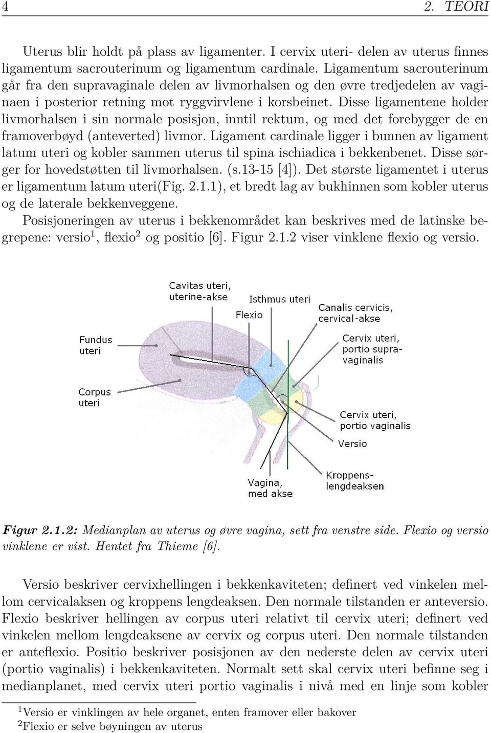 Disse ligamentene holder livmorhalsen i sin normale posisjon, inntil rektum, og med det forebygger de en framoverbøyd (anteverted) livmor.