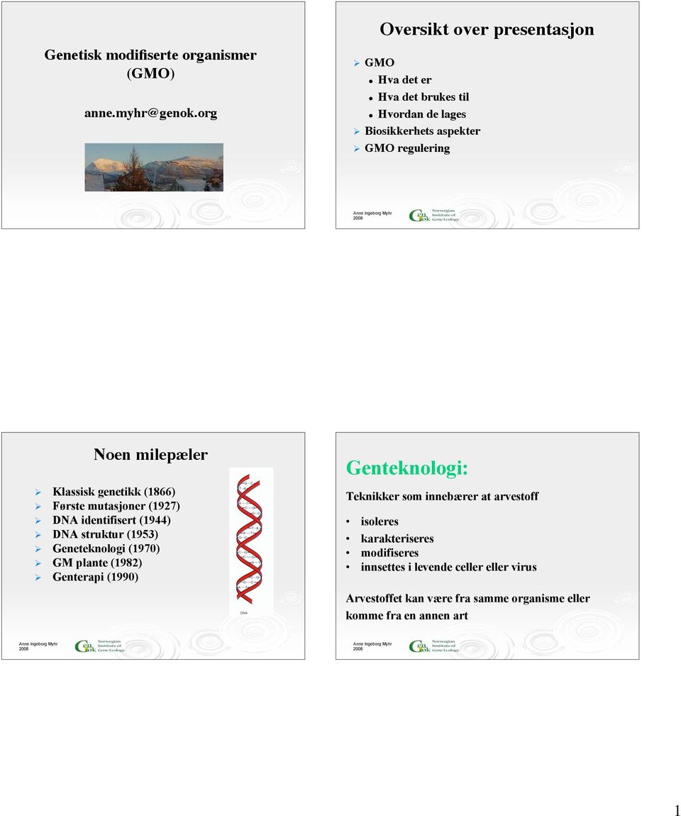 milepæler Klassisk genetikk (1866) Første mutasjoner (1927) DNA identifisert (1944) DNA struktur (1953) Geneteknologi (1970) GM