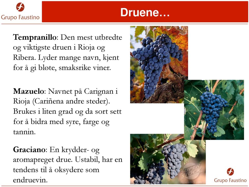 The Group Druene values Mazuelo: Navnet på Carignan i Rioja (Cariñena andre steder).