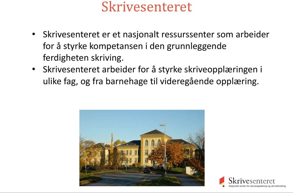 ferdigheten skriving.