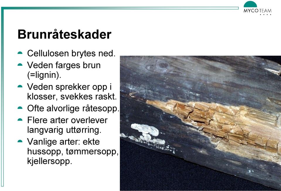 Veden sprekker opp i klosser, svekkes raskt.