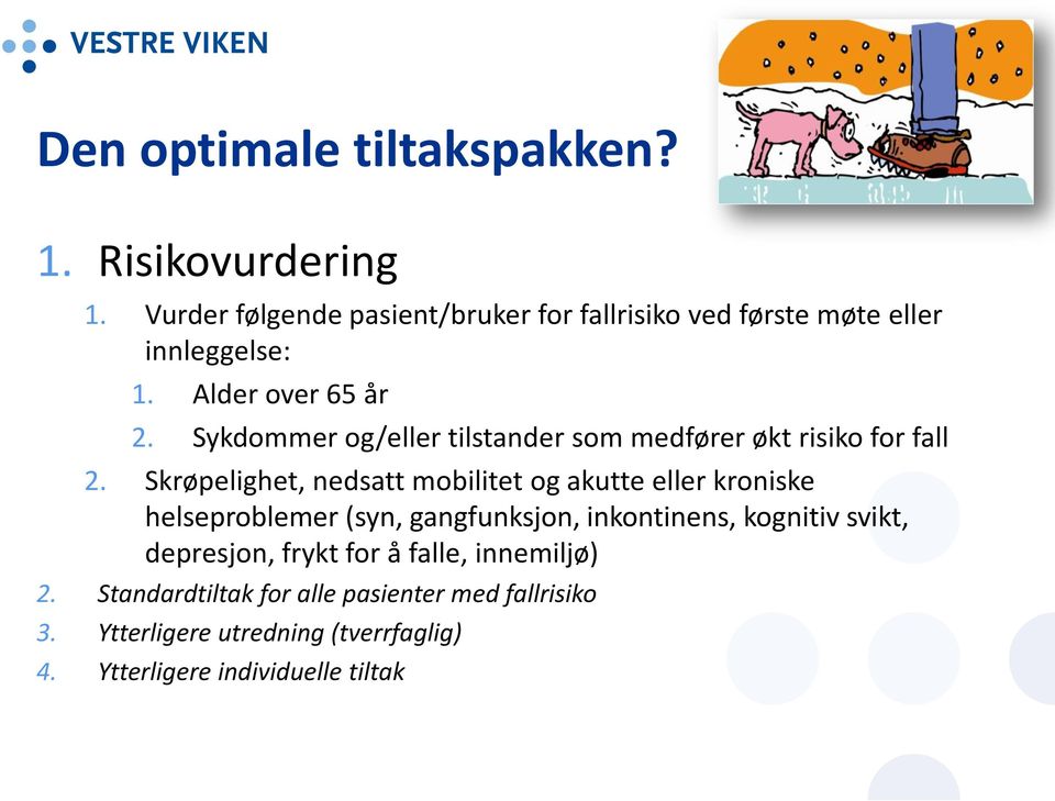 Sykdommer og/eller tilstander som medfører økt risiko for fall 2.