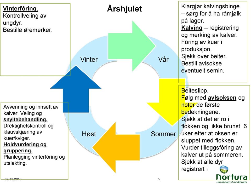 Veiing og snyltebehandling. Drektighetskontroll og klauvskjæring av kuer/kviger. Holdvurdering og gruppering. Planlegging vinterfôring og utslakting. Høst Sommer Beiteslipp.