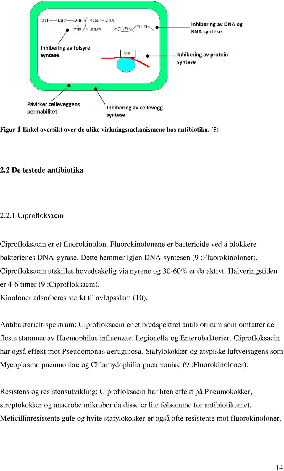 Halveringstiden er 4-6 timer (9 :Ciprofloksacin). Kinoloner adsorberes sterkt til avløpsslam (10).