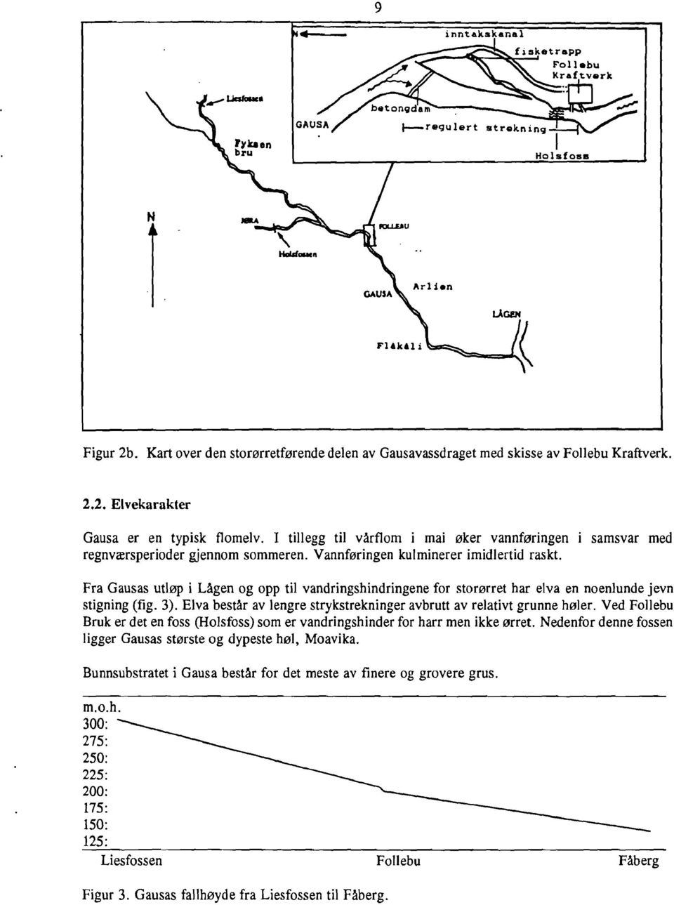 Fra Gausas utløp i Lågen og opp til vandringshindringene for storørret har elva en noenlunde jevn stigning (fig. 3). Elva består av lengre strykstrekninger avbrutt av relativt grunne høler.