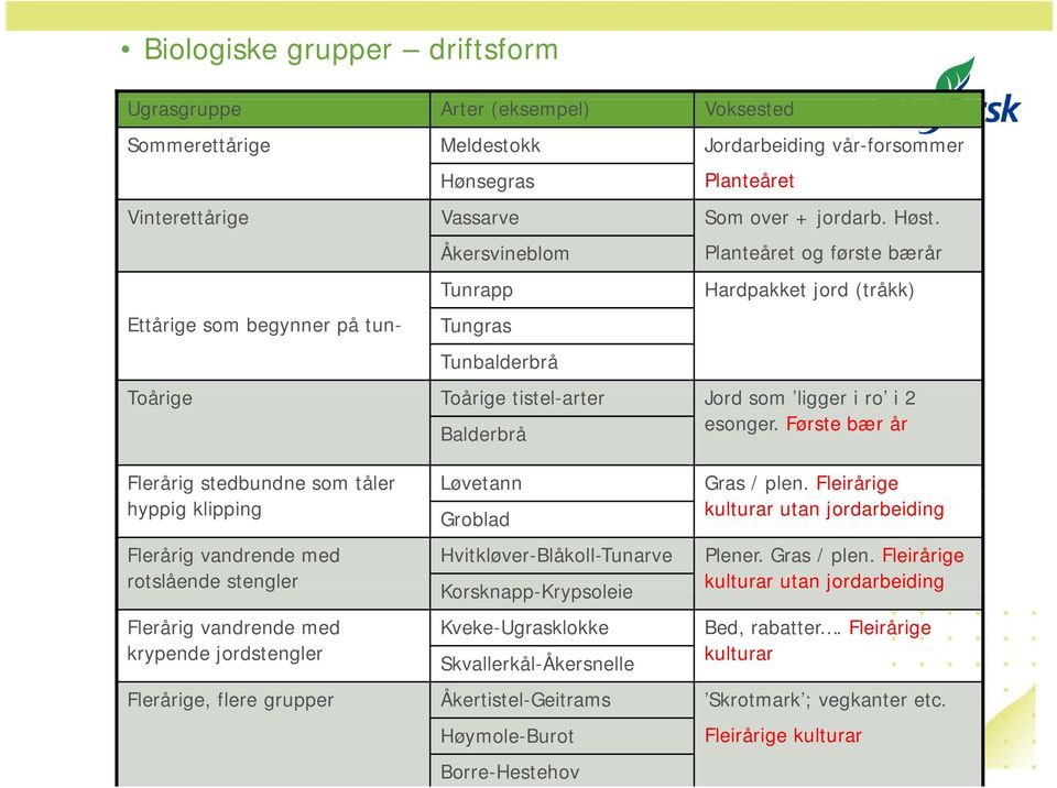 Første bær år Flerårig stedbundne som tåler Løvetann Gras /plen. Fleirårige hyppig klipping Groblad kulturar utan jordarbeiding Flerårig vandrende med Hvitkløver-Blåkoll-Tunarve Plener. Gras / plen.