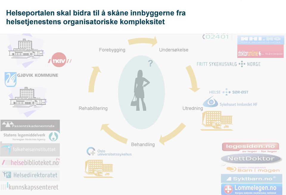 organisatoriske kompleksitet